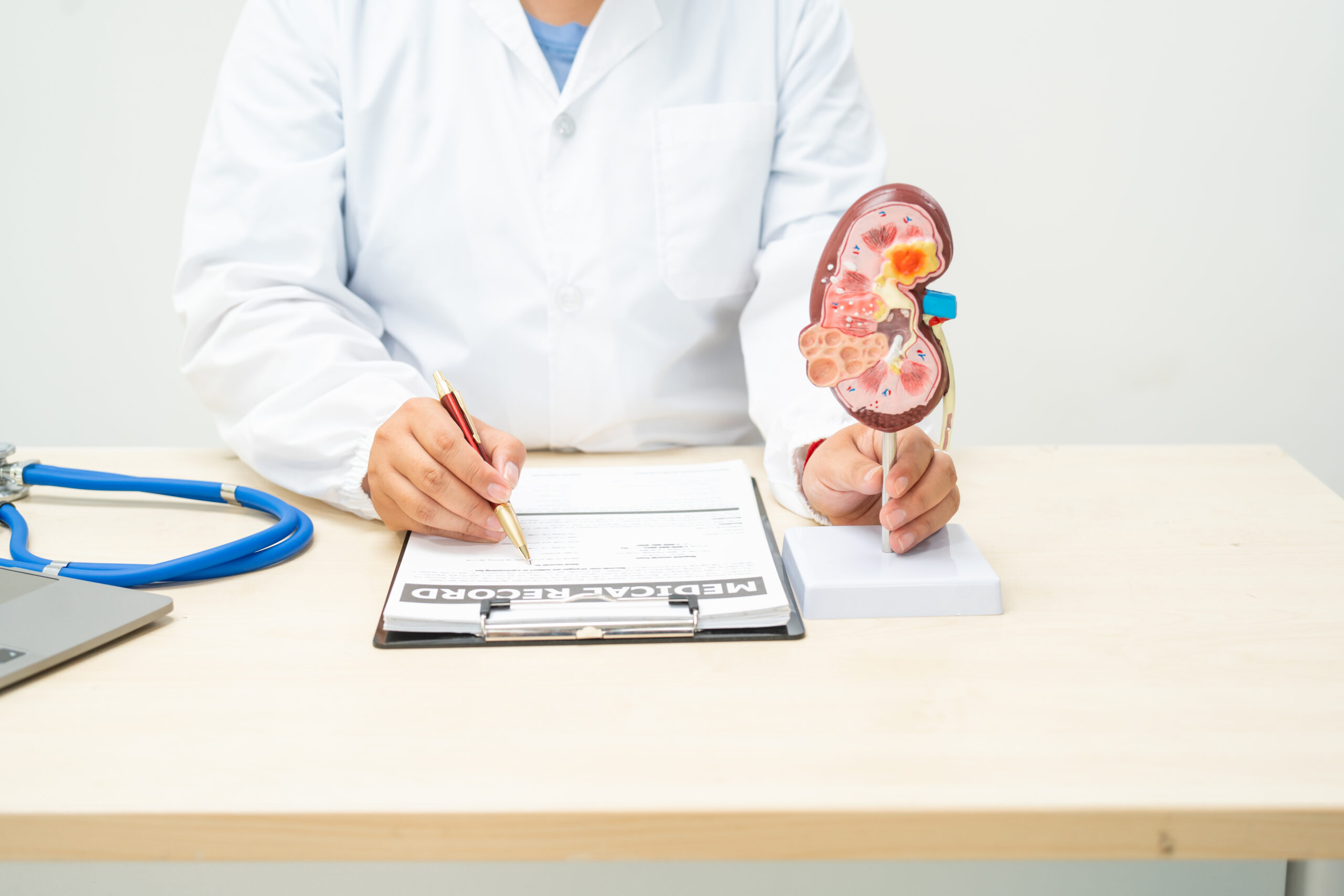 A female doctor works at a desk in a hospital, discussing kidne
