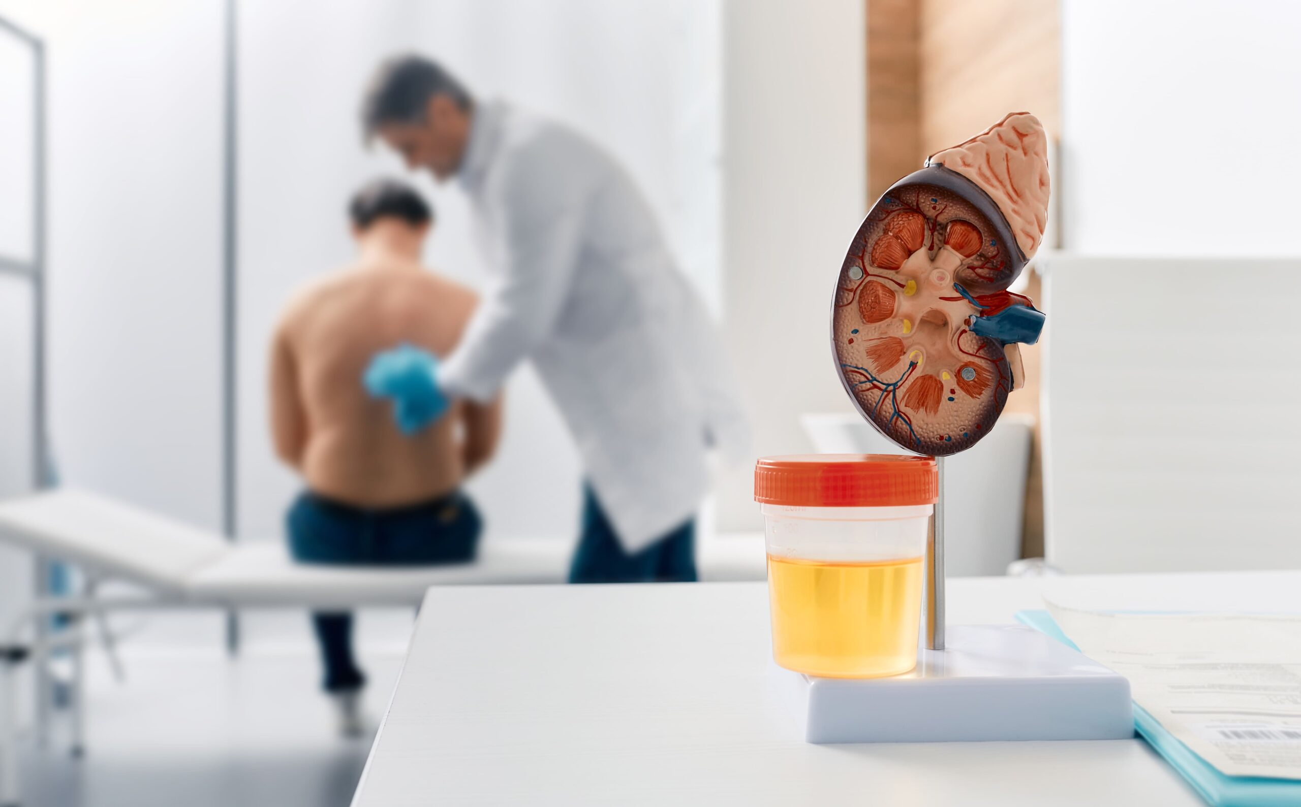 Kidney Cancer Treatment