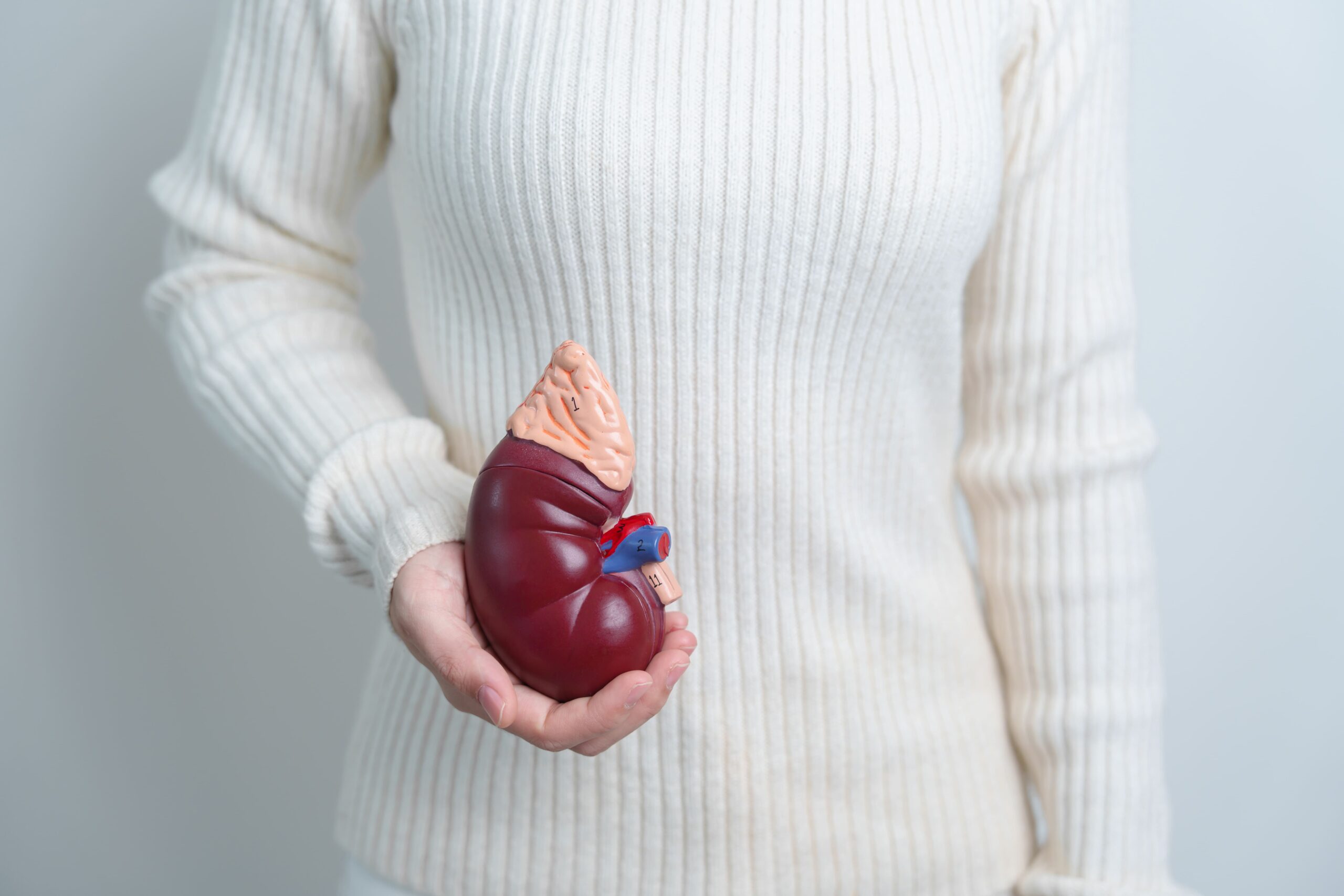 Image Kidney cancer early stage
