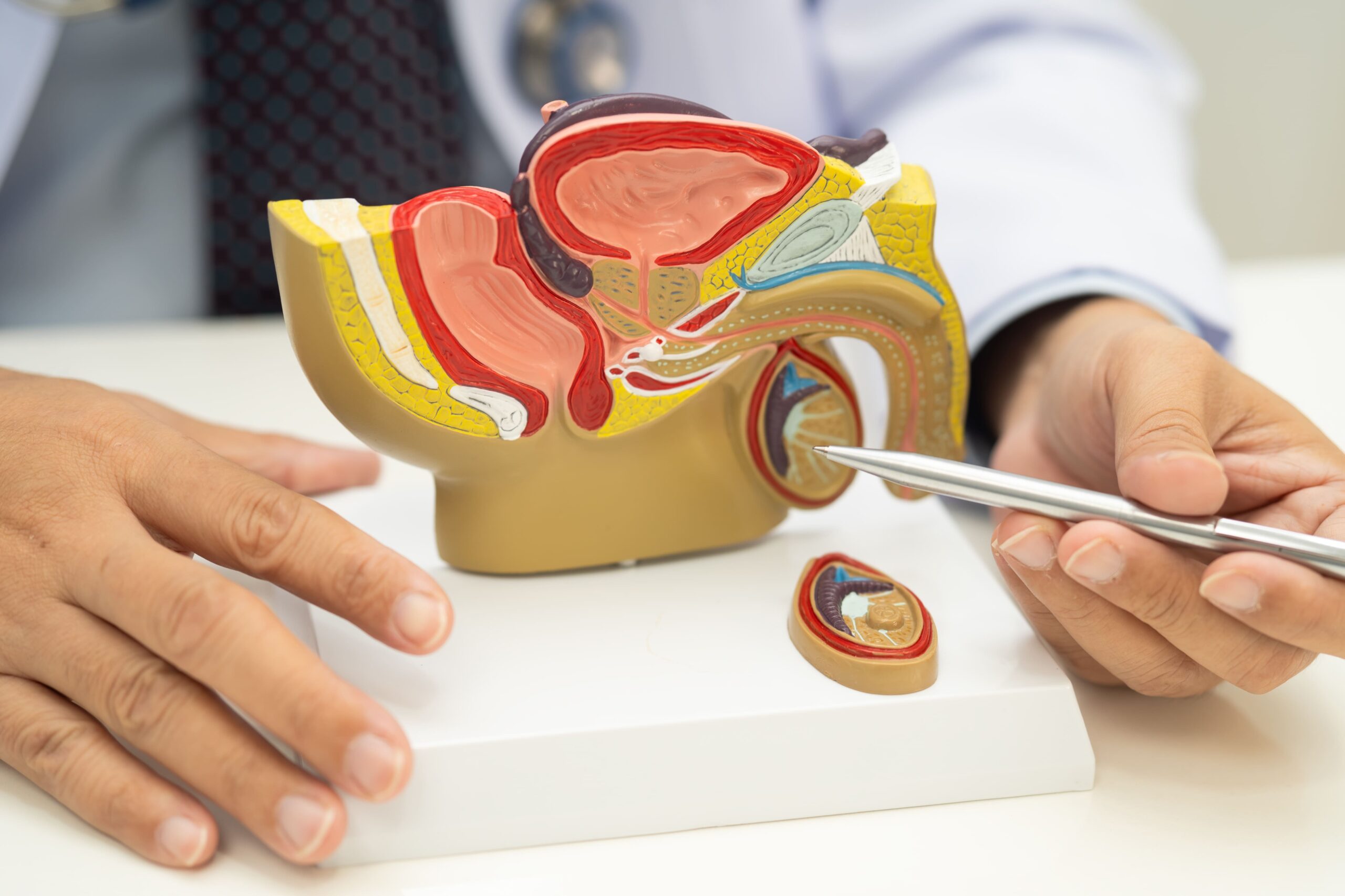 Testicular Cancer Treatment & Surgery