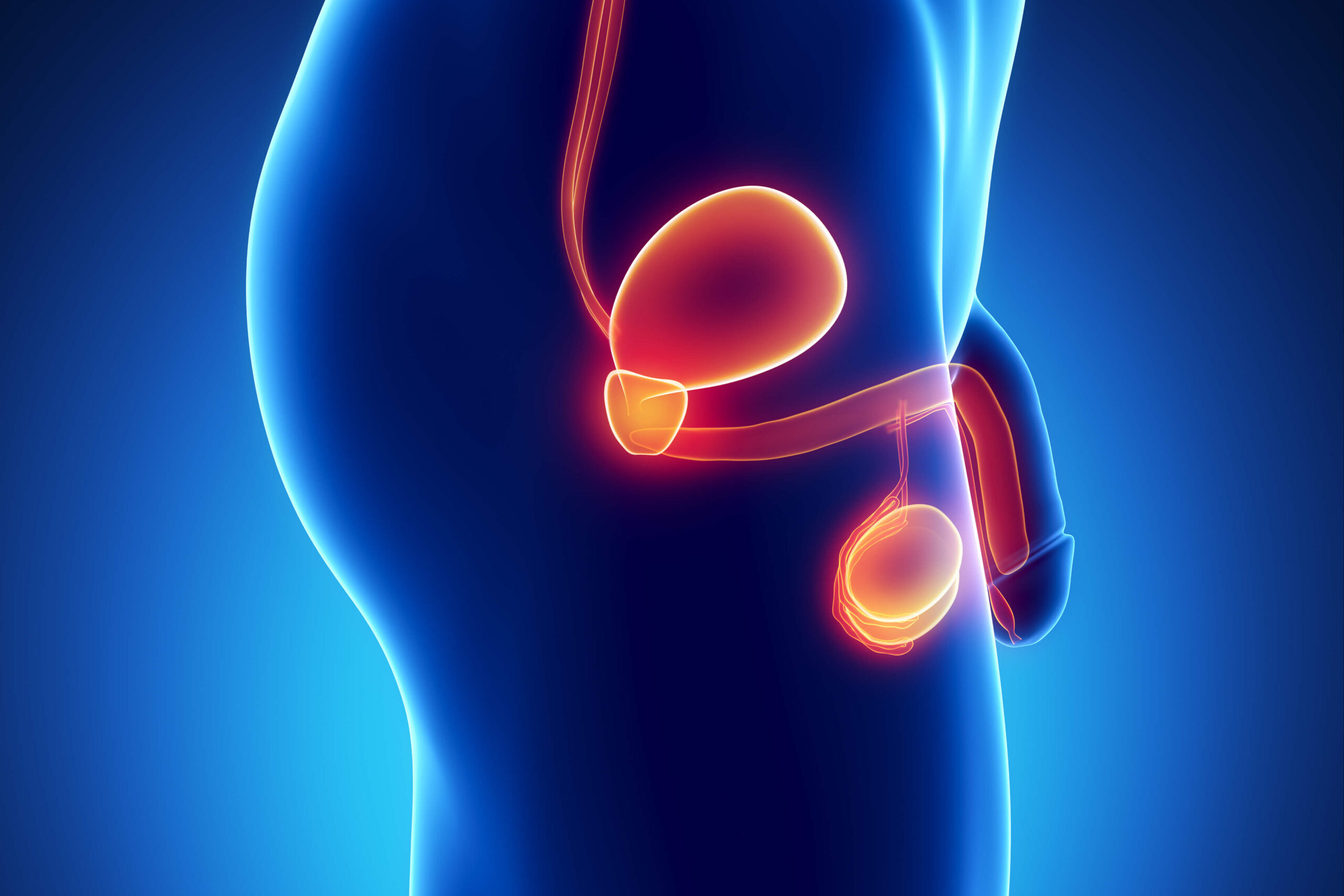 Urological Cancer Treatment & Surgery